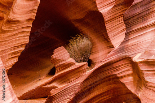 Red Rock Cave