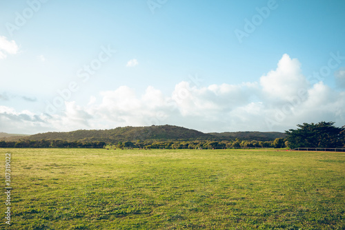 Large lawn field, low hills and bushes with clear blue sky in Australia
