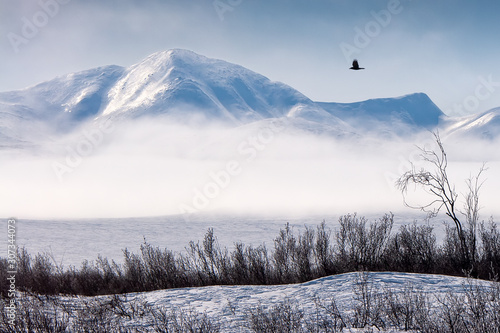 Winter mountain landscape with fog and snowy tundra. A black raven flies in the sky. Harsh Arctic nature. Golden Ridge, Chukotka, Siberia, Far East of Russia.