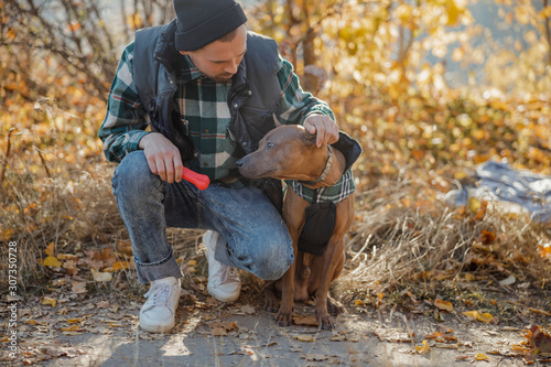 Man sitting with pet toy near the dog stock photo