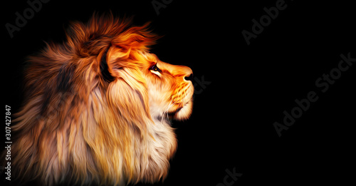 African lion profile portrait isolated on black background, spectacular dramatic king of animals, proud dreaming fantasy Panthera leo looking forward. Stylized photo banner with copy space for text.