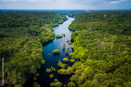 Amazon Rainforest in Anavilhanas National Park, Amazonas - Brazil