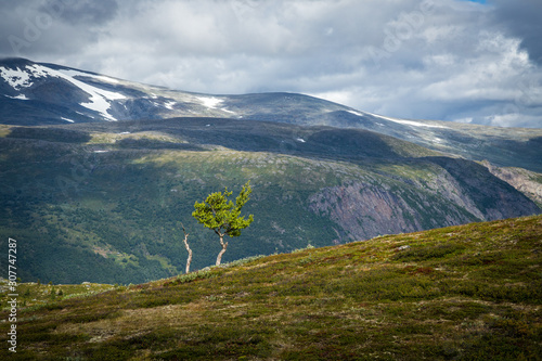 Beautiful mountains and summertime in Norway, Jotunheimen National Park.