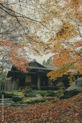 京都 瑠璃光院 お寺 紅葉 秋 写真素材 季節 