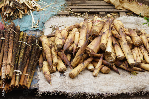 Bamboo shoot at Luang Prabang Market. Bamboo shoots or bamboo sprouts are the edible shoots of many bamboo species including Bambusa vulgaris and Phyllostachys edulis. 