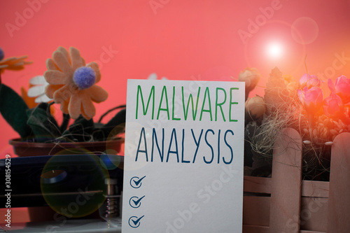 Writing note showing Malware Analysis. Business concept for performs deep analysis of evasive and unknown threats Flowers and writing equipments plus plain sheet above textured backdrop
