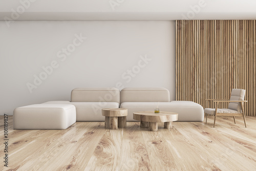 White and wood living room with sofa and armchair