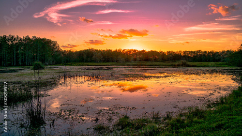 Louisiana swamp sunset and silhouettes