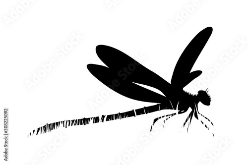 Vector silhouette of dragonfly in the grass on white background. Symbol of animal, insect, wild, nature, park, garden.