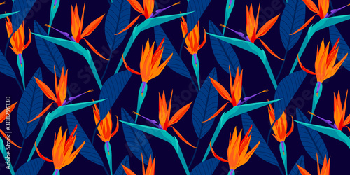 Bird of paradise tropical strelitzia floral seamless pattern with trends fashion colors. Pantone color of the year 2020, lush lava, aqua menthe and phantom blue