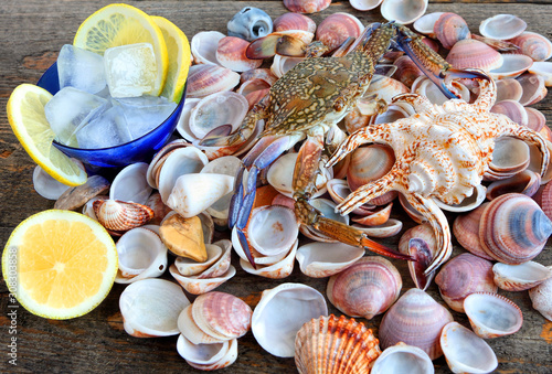 Flower crab or blue swimmer crab, or sand crab. Seashells (Cockleshells). Sliced lemon with ice cubs. Seafood and sea shells still life on vintage wooden surface