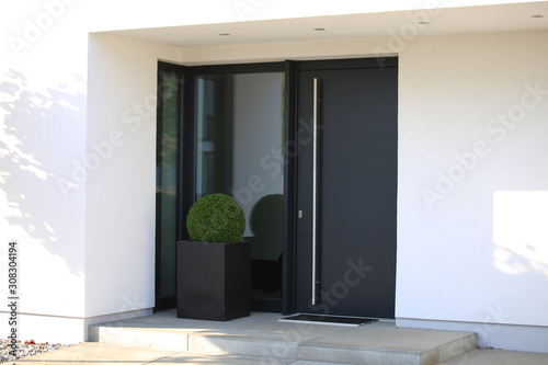 Modern front door