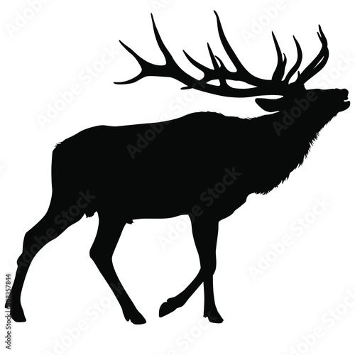 A vector silhouette of a large bull elk bugling.