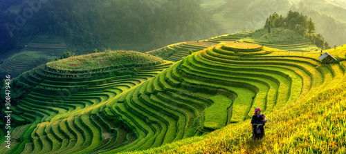 Mu Cang Chai, Vietnam landscape terraced rice field near Sapa. Mu Cang Chai rice fields stretching across mountainside in Vietnam.