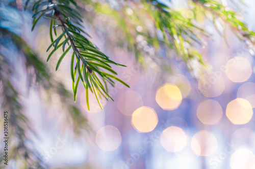 Winter background with branches of spruce and christmas lights and bokeh