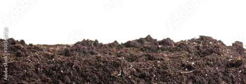 Soil closeup isolated on white. Earth background. Blank for your creativity