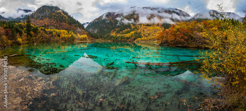 Panorama View of the Five Flower Lake, Jiuzhaigou National Park, Sichuan,China.