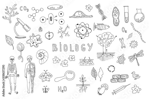 Set of objects, symbols biology lesson. Hand drawn vector illustration. Line drawing on a white background. Learning, education concept. Microbes, test tubes, human anatomy, flora and fauna.