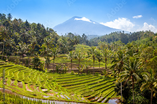 scenic view of balinese rice terraces and volcano in bali indonesia