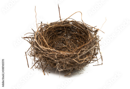 bird nest isolated