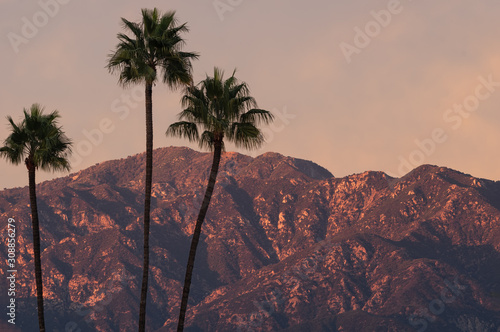 Image taken from Pasadena of the San Gabriel Mountains at sunset time with palm tress in the foreground.