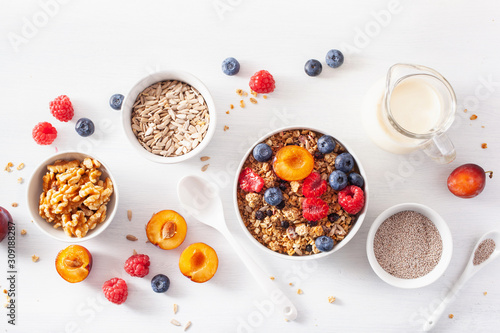 healthy granola for breakfast with berry fruit nut, plant milk