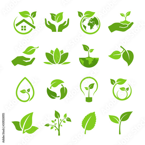 set of green leaves with concept ecology and environmental