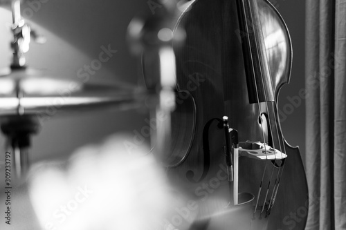 Upright Bass Black and White