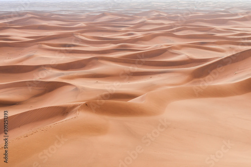 Sand Dune in the Sahara / In the Sahara Desert, sand dunes to the horizon, Morocco, Africa.