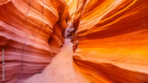 The smooth curved Red Sandstone walls caused by water erosion in Mountain Sheep Canyon. Mountain Sheep Canyon is one of the famous Slot Canyons in the Navajo lands near Page Arizona, United States