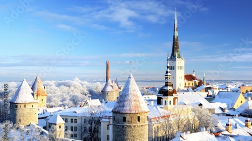 Tallinn city. Estonia. Snow on trees in winter