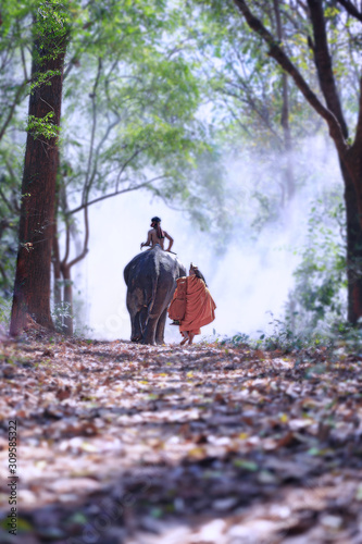 Buddhist monk walking under a tree with elephant is traditional of religion