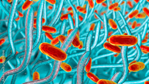 Whooping cough bacteria Bordetella pertussis in respiratory tract, 3D illustration showing cilia of respiratory epithelium and bacteria