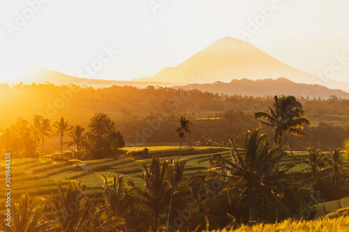 Amazing warm orange sunrise over famous Jatiluwih rice terraces and mount Agung volcano view. Popular tourist landmark in Bali. Welcome to Bali travel concept.