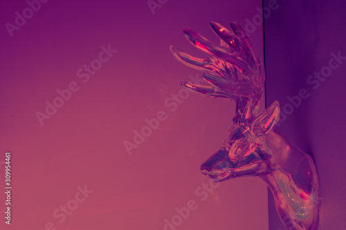 Deer head on wall. weird Concept minimal photo