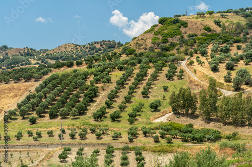 Summer landscape in Calabria, Italy, near Tarsia