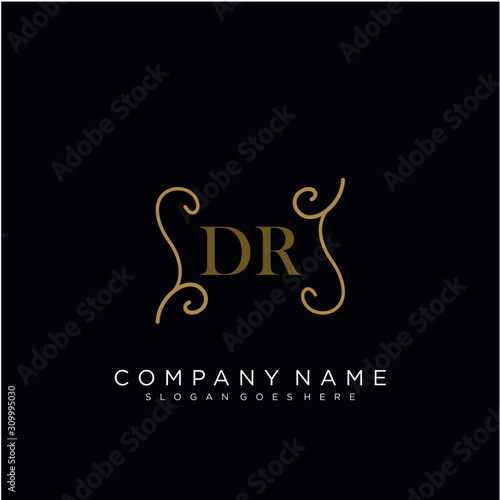 Initial letter DR logo luxury vector mark, gold color elegant classical