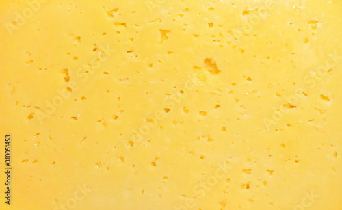 Cheese texture. Background of fresh yellow cheese with holes