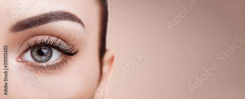 Female Eye with Extreme Long False Eyelashes. Eyelash Extensions. Makeup, Cosmetics, Beauty. Close up, Macro 