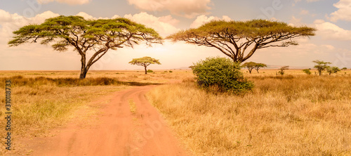 Game drive on dirt road with Safari car in Serengeti National Park in beautiful landscape scenery, Tanzania, Africa