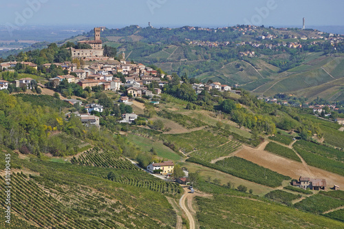 Oltrepo Pavese , Pavia e Broni - Cigognola castle and vineyard