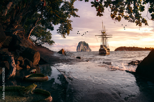 Pirate ship sailing away from the coast while a frog is watching it in Koh Rong, Cambodia