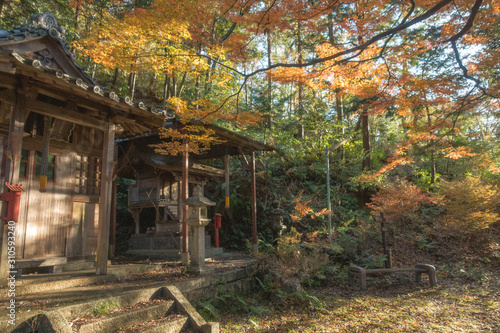 滋賀県米原市の金毘羅大権現の境内の祠と秋の風景