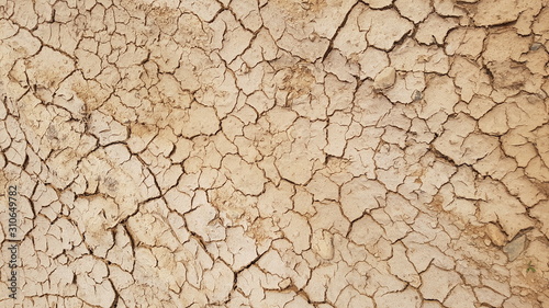 dry cracked earth texture