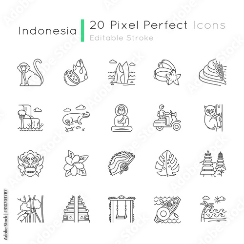 Indonesia linear icons set. Tropical country animals, plants. Indonesian islands. Exotic traditions. Thin line contour symbols. Isolated vector outline illustrations. Editable stroke. Perfect pixel