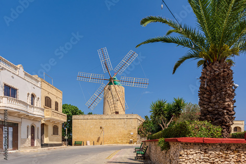 Ta' Kola Windmill and the palm in Xaghra village, in Gozo island, Malta. Windmill was built in 1725 and now became a museum. It has round central tower surrounded by a number of rooms.