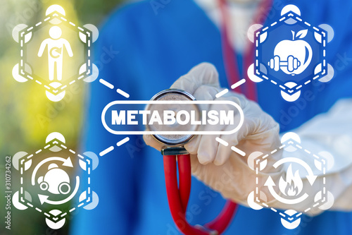 Metabolism Symbiosis Medical Concept. Human Comprehensibility Metabolic Syndrome.