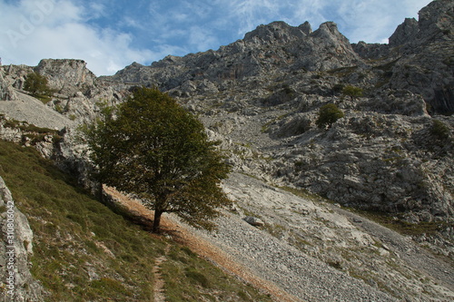Landscape at hiking trail Ruta del Cares from Poncebos to Cain in Picos de Europa in Asturia,Spain,Europe
