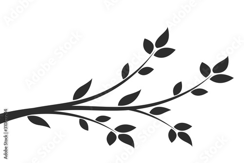 Silhouette of a branch with leaves. Young flowering tree. Sapling.