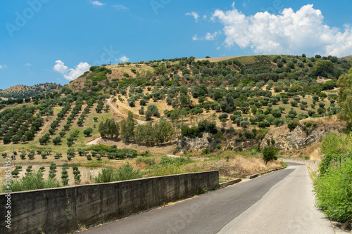 Summer landscape in Calabria, Italy, near Tarsia